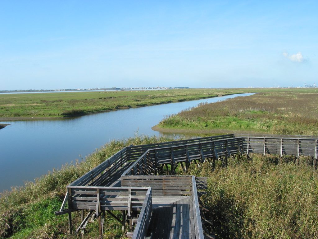 Partir À Vélo: Loire, Vignoble Nantais Et Estuaire - 5 Idées D'Itinéraires Partir À Vélo: Loire, Vignoble Nantais Et Estuaire - 5 Idées D'Itinéraires