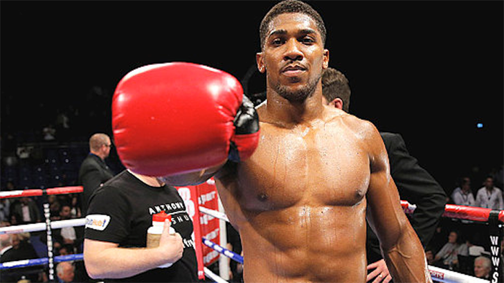 Paul's Nemesis Dismisses Joshua Fight Talk: Paul's Sharp Rebuttal Paul's Nemesis Dismisses Joshua Fight Talk: Paul's Sharp Rebuttal