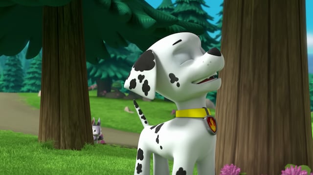 Paw Patrol Piratas: 15 Minutos De Rescates En Español En YouTube Paw Patrol Piratas: 15 Minutos De Rescates En Español En YouTube