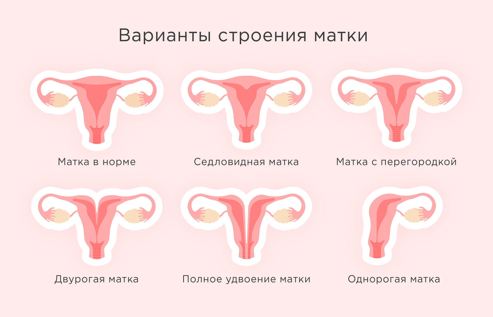 Победители Евровидения За Последнее Десятилетие: Их Судьбы И Карьера Победители Евровидения За Последнее Десятилетие: Их Судьбы И Карьера