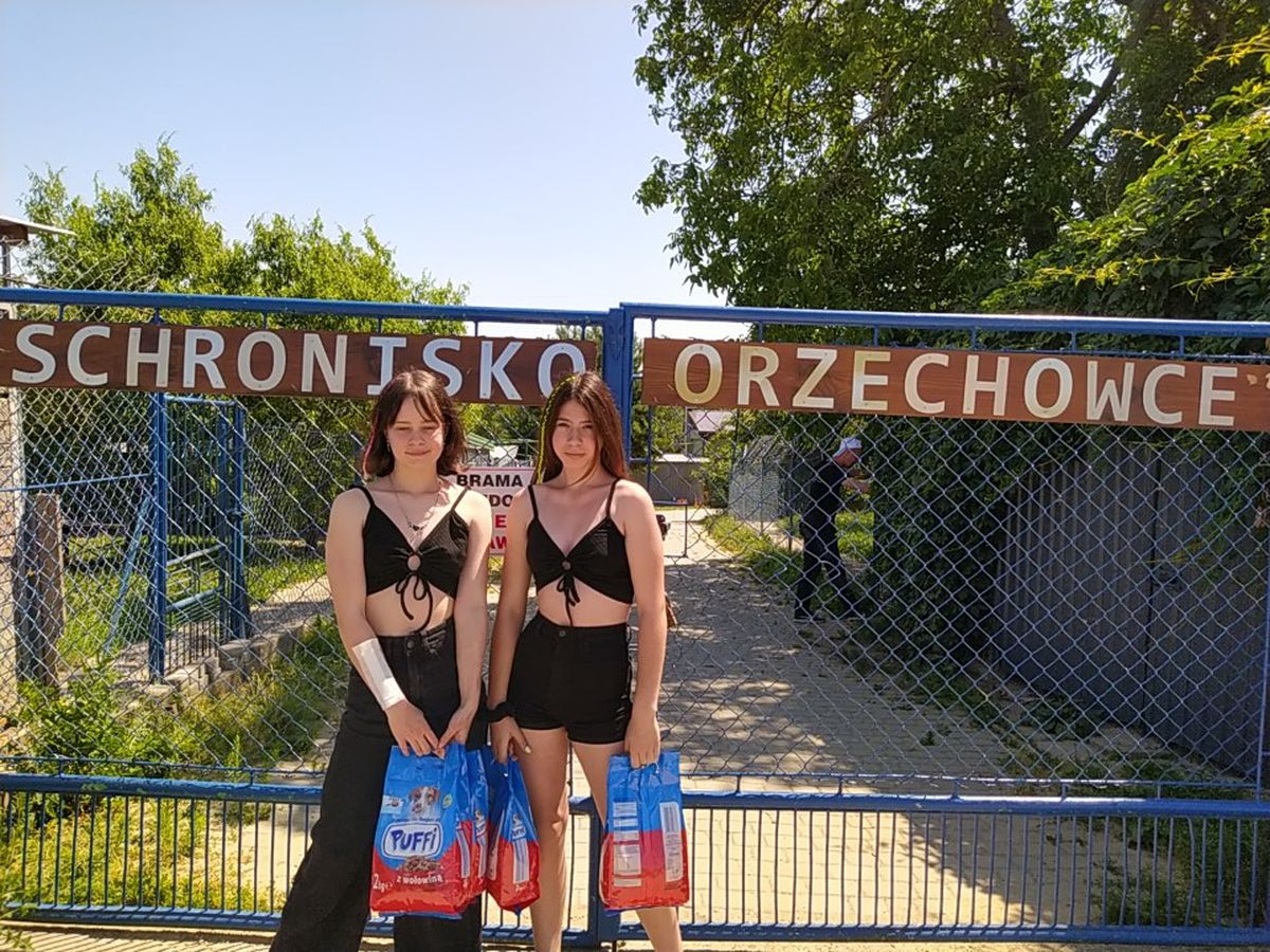 Pomóż Zwierzętom Bezdomnym: Międzynarodowy Dzień 4 Kwietnia Pomóż Zwierzętom Bezdomnym: Międzynarodowy Dzień 4 Kwietnia