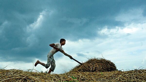 Positive Monsoon Forecast To Spur Growth In India's Agricultural Sector Positive Monsoon Forecast To Spur Growth In India's Agricultural Sector