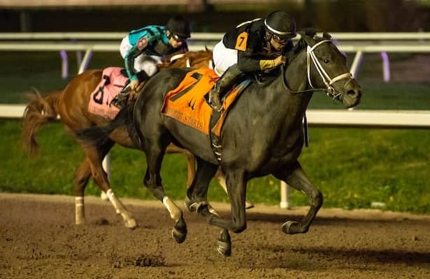 Predicting The 2025 Louisiana Derby: Odds, Horses, And Kentucky Derby Road Predicting The 2025 Louisiana Derby: Odds, Horses, And Kentucky Derby Road