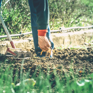 Preparing Your Home And Garden For Drier Weather Ahead Preparing Your Home And Garden For Drier Weather Ahead