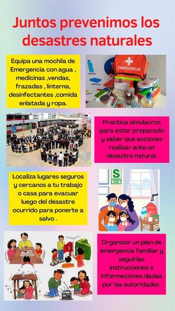 Prevenir La Estupidez: Una Guía Práctica Para Evitar Desastres Prevenir La Estupidez: Una Guía Práctica Para Evitar Desastres