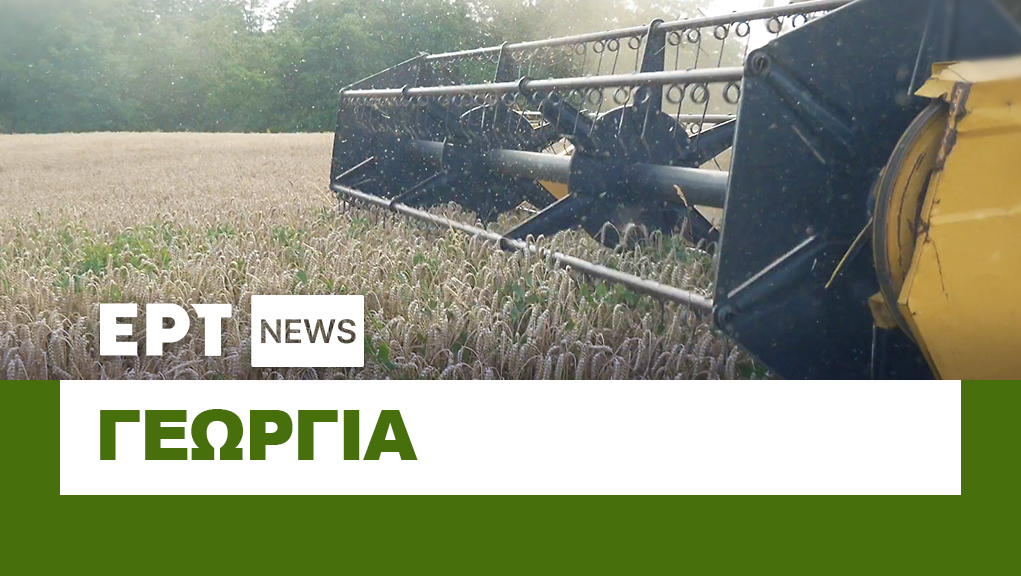 Πρόγραμμα Τηλεόρασης: Σαββατοκύριακο 3/5 Πρόγραμμα Τηλεόρασης: Σαββατοκύριακο 3/5