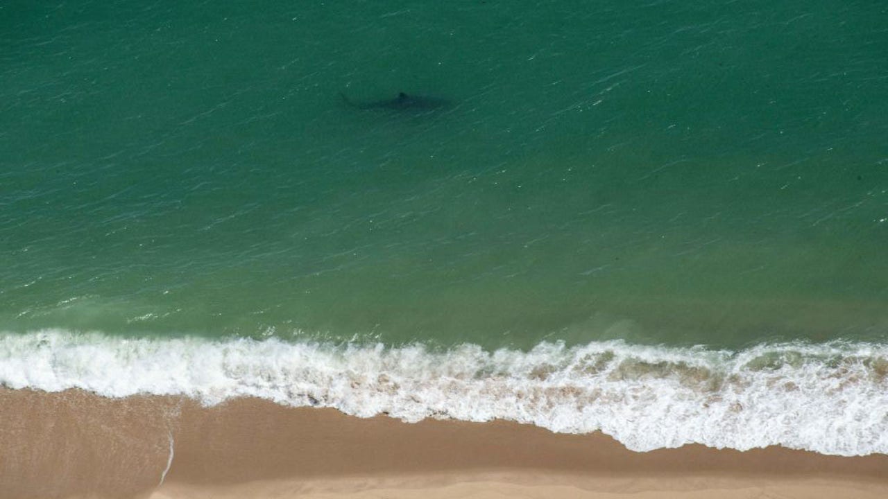 Red Tide Warning Issued For Cape Cod: Urgent Beach Closures