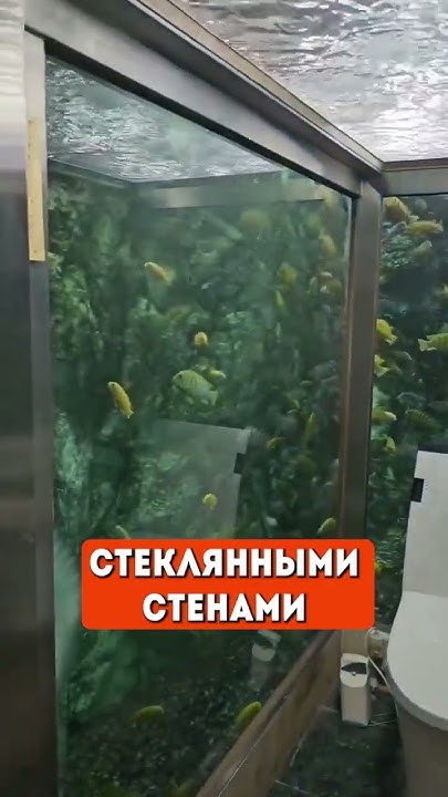 Рекорд Овечкина: Кинопоиск Дарит Уникальные Соски Новорожденным