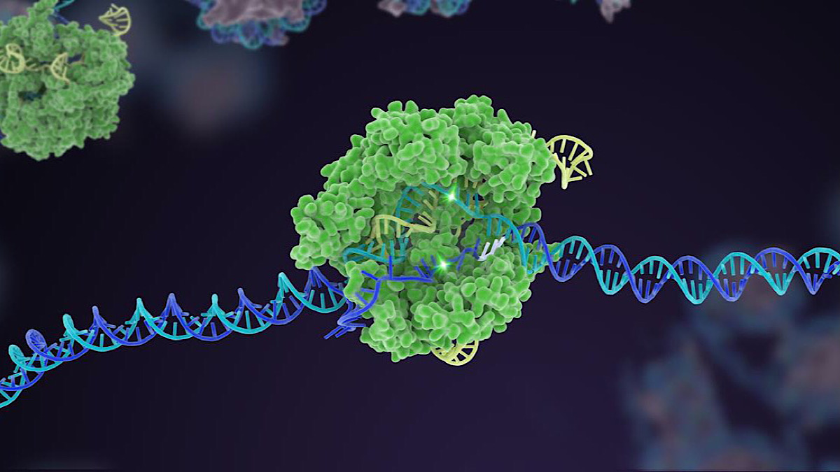 Revolutionizing Gene Therapy: A More Accurate CRISPR-Based Approach Revolutionizing Gene Therapy: A More Accurate CRISPR-Based Approach