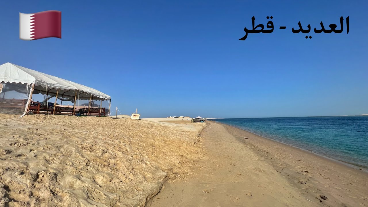 رحلة سيلين ديون: من يوروفيجن إلى أيقونة عالمية رحلة سيلين ديون: من يوروفيجن إلى أيقونة عالمية