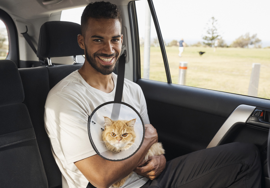 Ride With Your Pet: Uber Pet Launches In Delhi And Mumbai Ride With Your Pet: Uber Pet Launches In Delhi And Mumbai