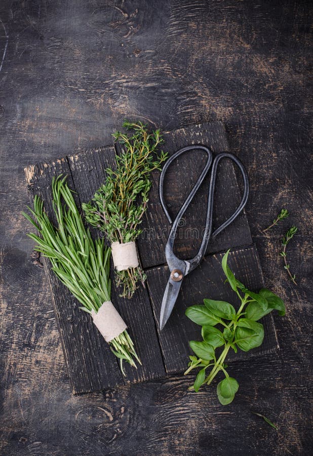 Rosemary & Thyme: A Culinary Guide To Herbs Rosemary & Thyme: A Culinary Guide To Herbs