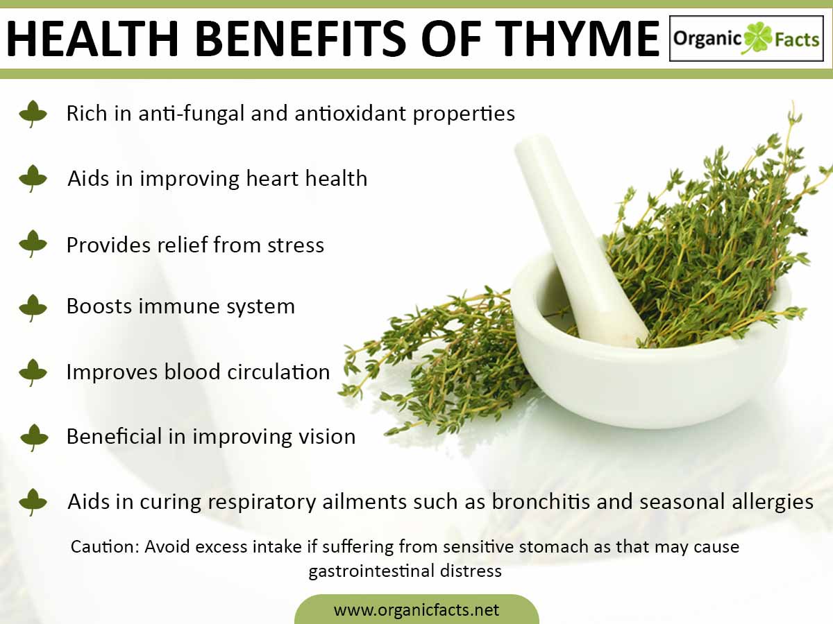 Rosemary & Thyme: Benefits And Applications Beyond Cooking Rosemary & Thyme: Benefits And Applications Beyond Cooking