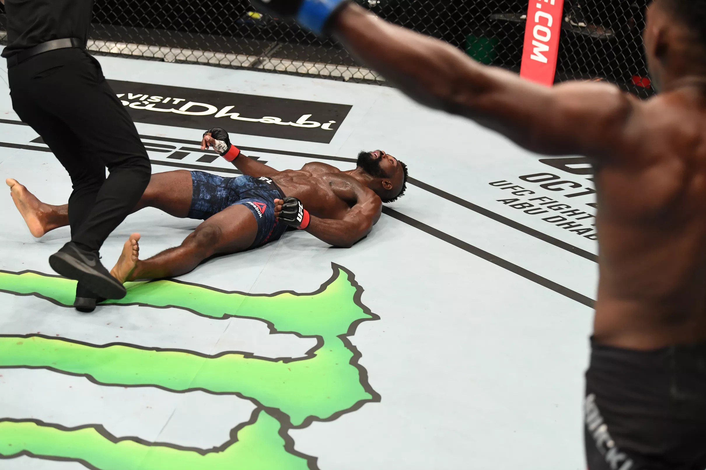 Ruffy's Spinning Kick: UFC 313 KO Potential Ruffy's Spinning Kick: UFC 313 KO Potential