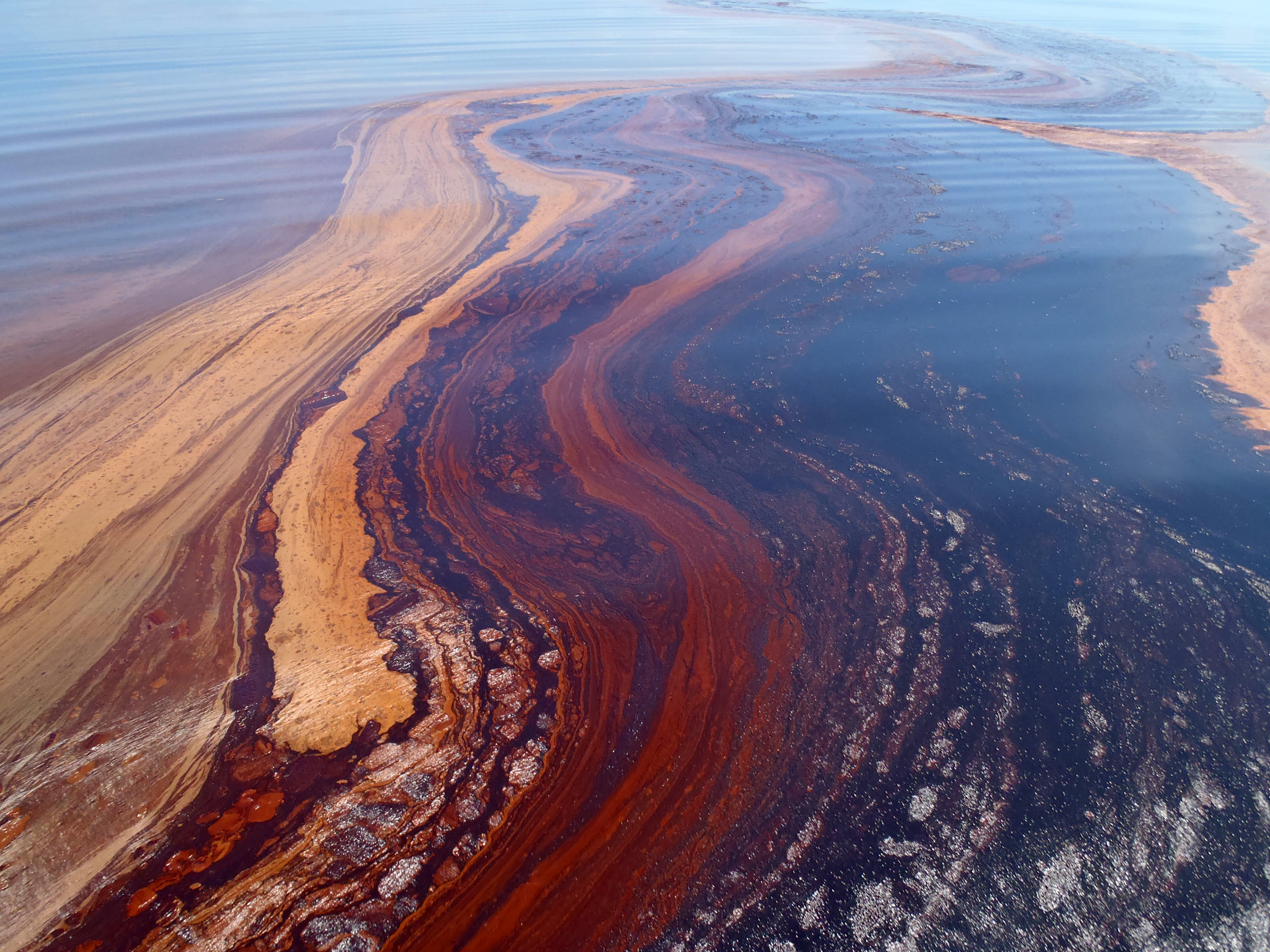 Russia's Black Sea Oil Spill: Impacts And 62-Mile Beach Closure Russia's Black Sea Oil Spill: Impacts And 62-Mile Beach Closure