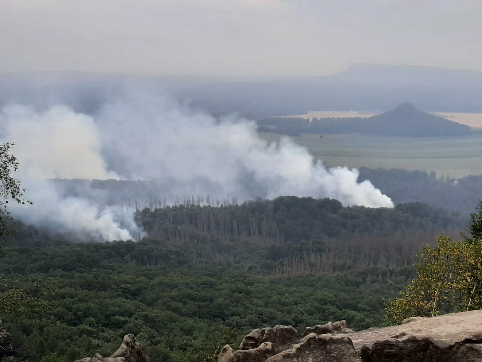 Sachsen Investiert In Moderne Technik Zur Waldbrandprävention Im Nationalpark Sachsen Investiert In Moderne Technik Zur Waldbrandprävention Im Nationalpark