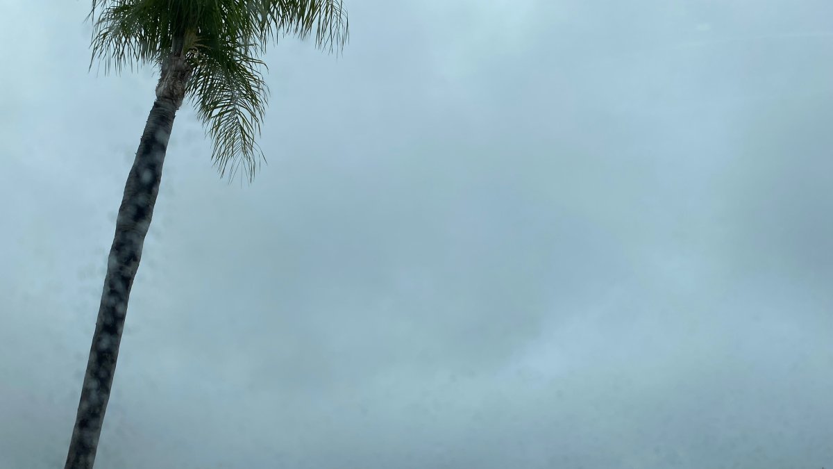 San Diego County Weather: Cool Temperatures, Rain, And Wind