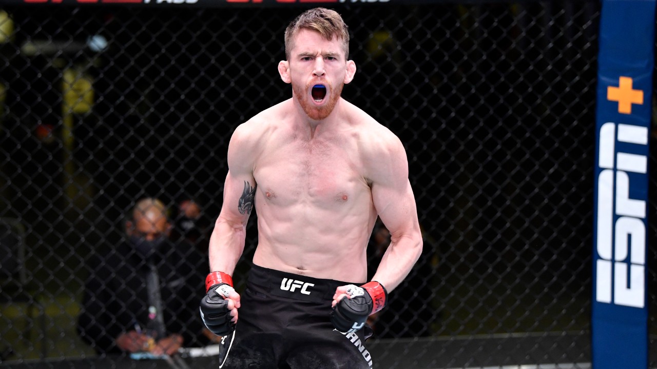 Sandhagen Vs. Figueiredo: A Complete Guide To UFC On ESPN 67 Results Sandhagen Vs. Figueiredo: A Complete Guide To UFC On ESPN 67 Results