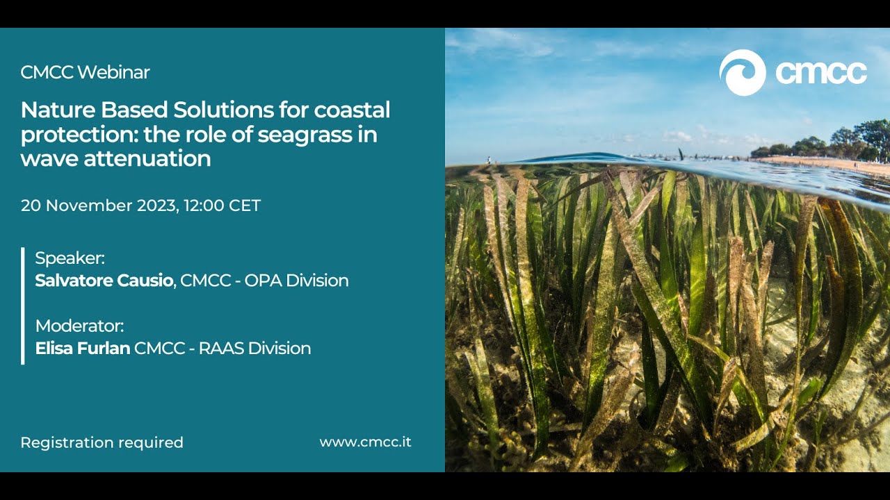 Scotland's Coastal Regeneration: The Importance Of Seagrass Planting Scotland's Coastal Regeneration: The Importance Of Seagrass Planting