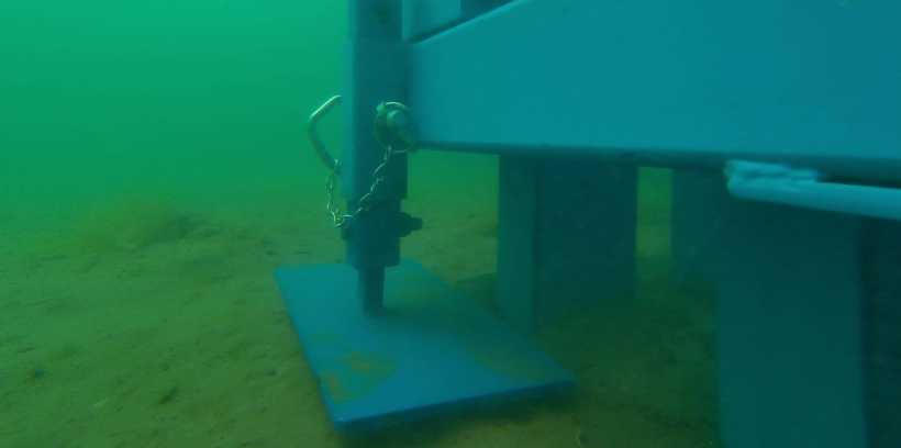Scotland's Coastal Revival: Investing In Seagrass Planting Scotland's Coastal Revival: Investing In Seagrass Planting