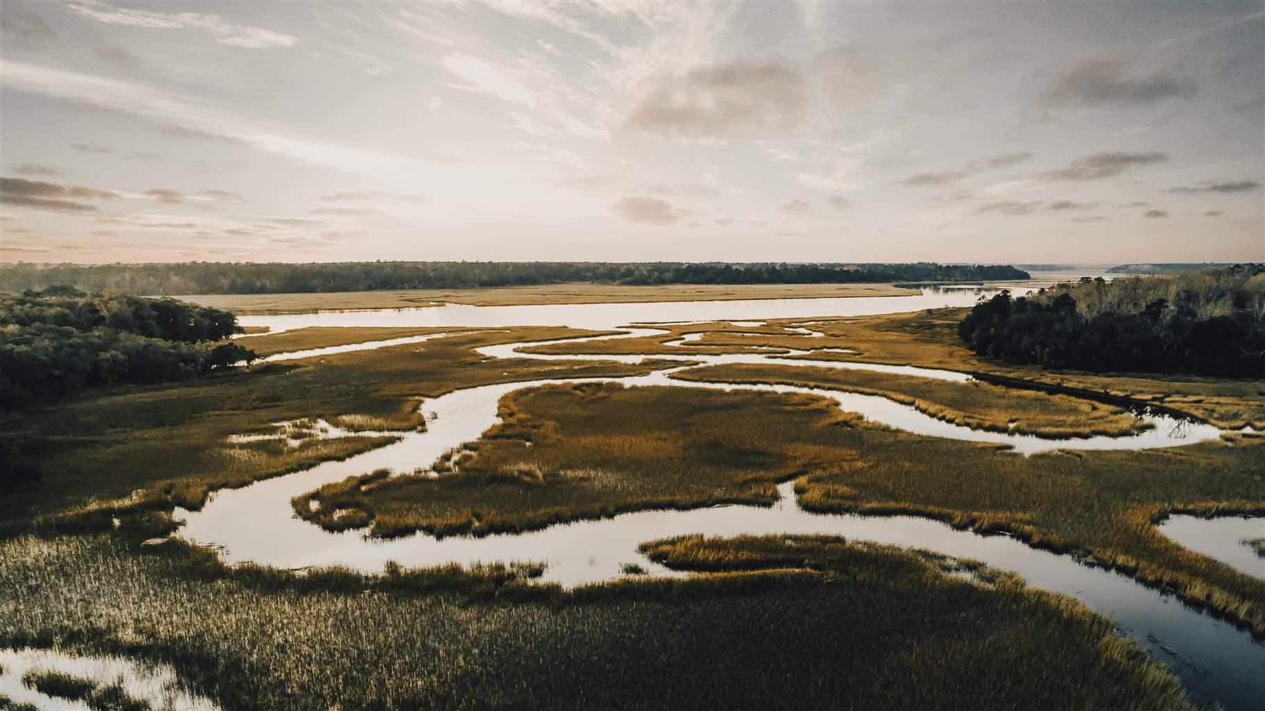 Seagrass Restoration Bids: Revitalizing Scotland's Coastal Habitats Seagrass Restoration Bids: Revitalizing Scotland's Coastal Habitats