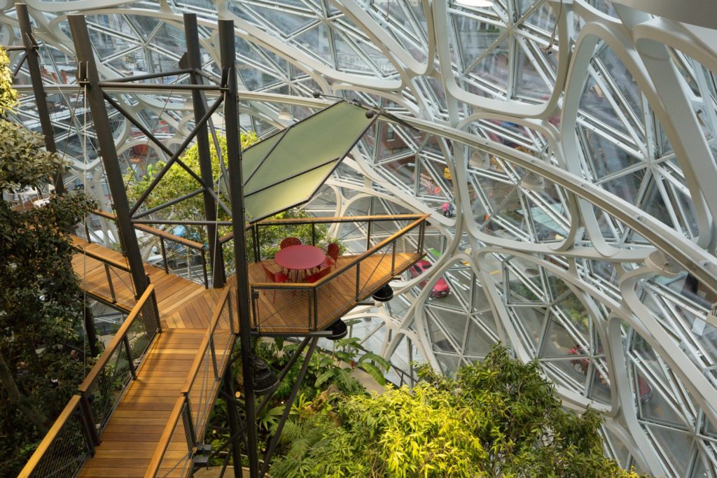 Seattle's Green Space: A Woman's Refuge During The Early Pandemic Seattle's Green Space: A Woman's Refuge During The Early Pandemic