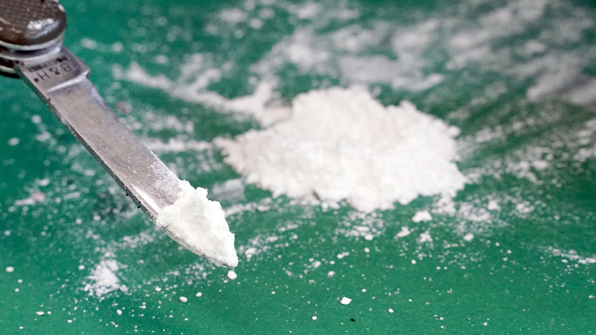 Secret Service Investigation: Findings On Cocaine Found At White House Secret Service Investigation: Findings On Cocaine Found At White House