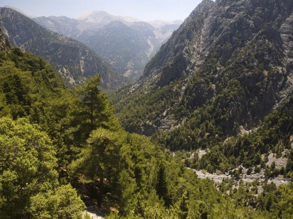 Self-Guided Walking Holiday In Provence: Mountains To Sea Self-Guided Walking Holiday In Provence: Mountains To Sea