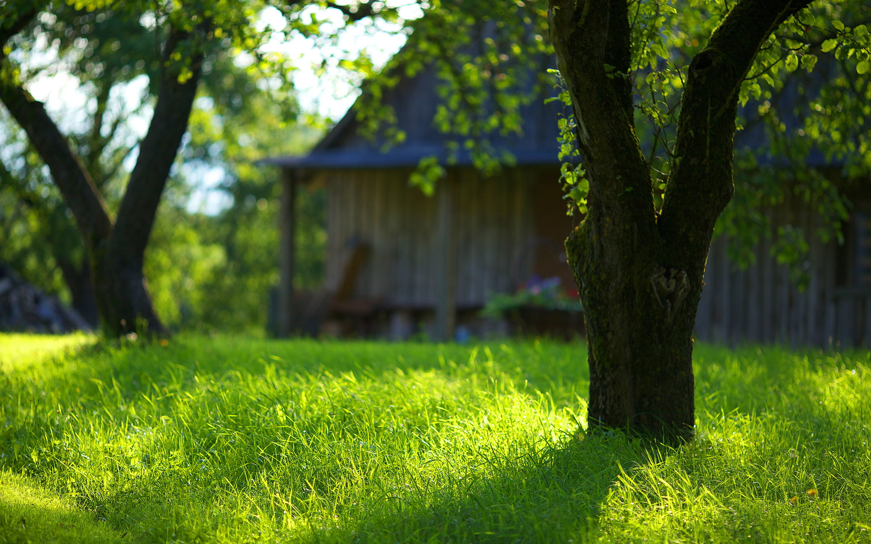 Severe Hailstorms: Impact On Pools And Green Grass In Summer Severe Hailstorms: Impact On Pools And Green Grass In Summer