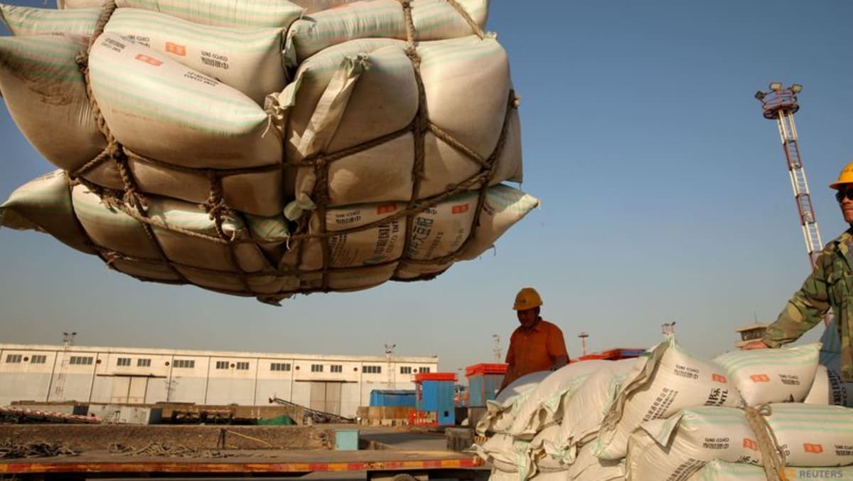Sinograin To Auction Imported Soybeans: Impact On China's Market