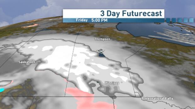 Snowfall Warning Issued For Parts Of Western Manitoba