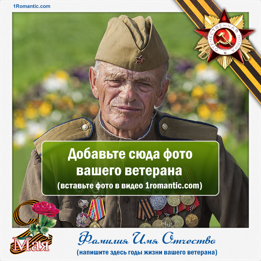 Союзники Украины: Кто Приедет В Киев На 9 Мая? Союзники Украины: Кто Приедет В Киев На 9 Мая?