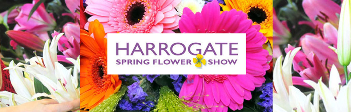 Spring Blooms In Harrogate: Flower Show Details For April 2025 Spring Blooms In Harrogate: Flower Show Details For April 2025