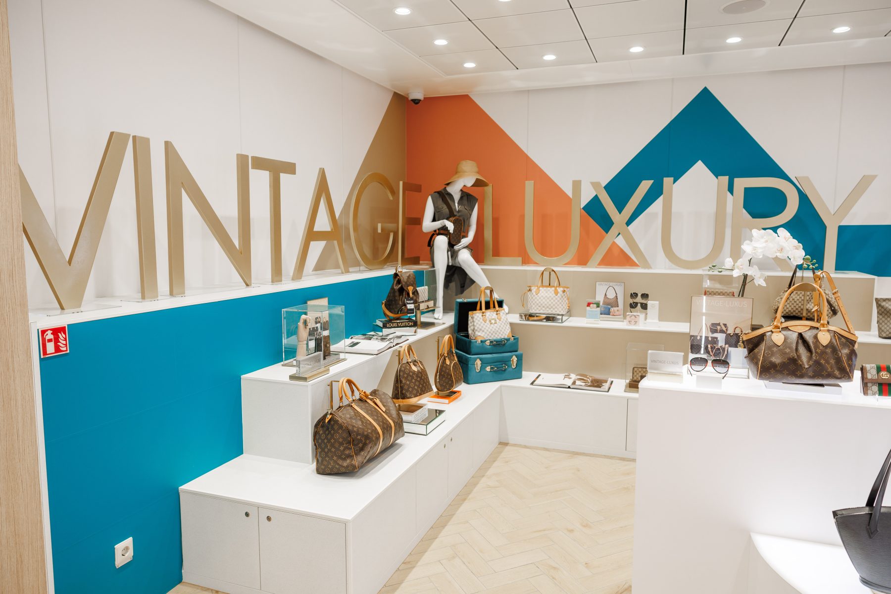 Starboard And TUI Cruises Strengthen Partnership: A New Era Of Cruise Experiences Starboard And TUI Cruises Strengthen Partnership: A New Era Of Cruise Experiences