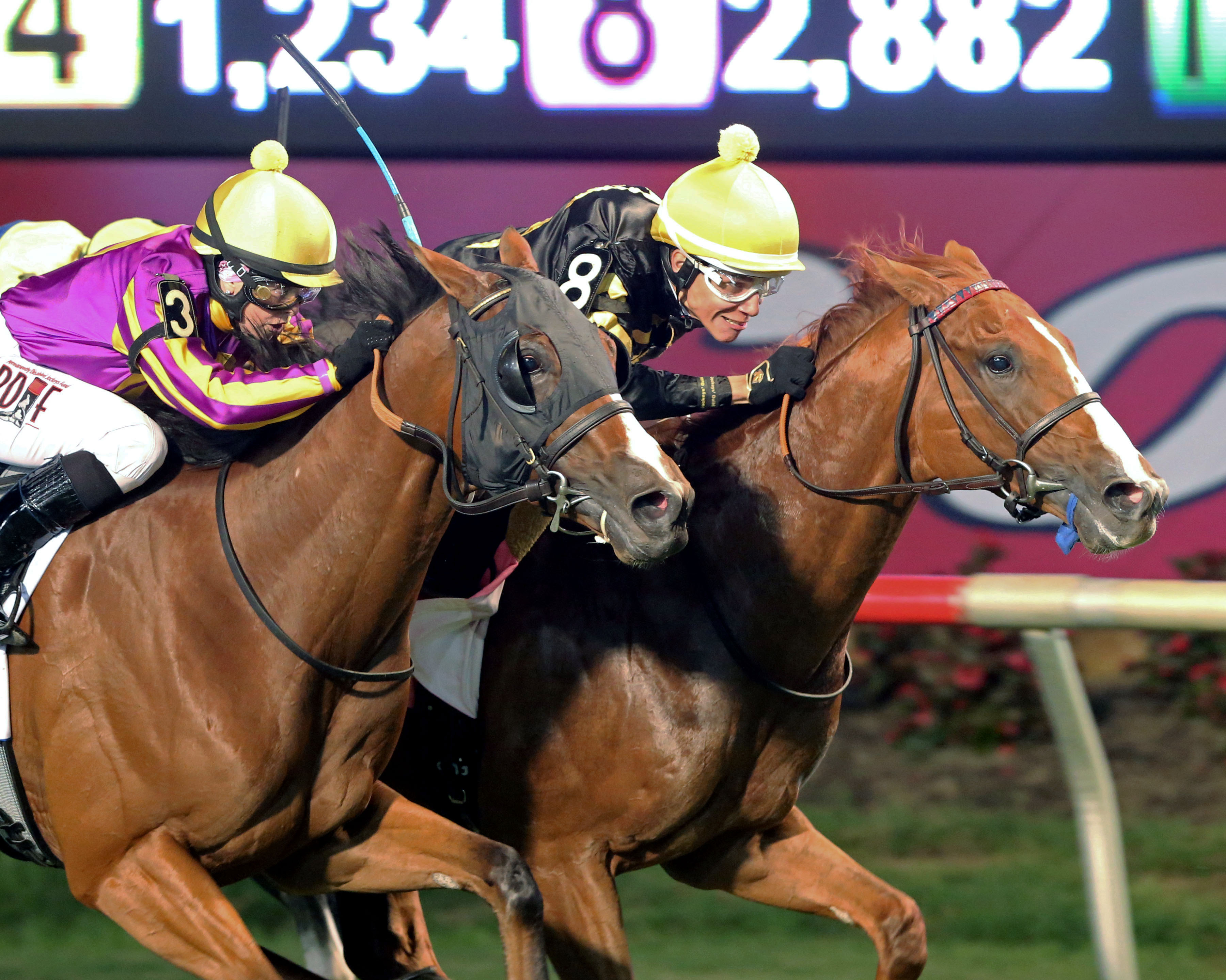Stone Confirms Virginia Derby At Colonial Downs: Dates And Details Stone Confirms Virginia Derby At Colonial Downs: Dates And Details
