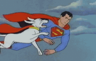 Superman Sneak Peek: Krypto's Assault Revealed Superman Sneak Peek: Krypto's Assault Revealed