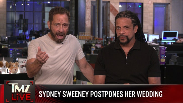 Sydney Sweeney And Jonathan Davino Postpone Wedding: Latest Updates Sydney Sweeney And Jonathan Davino Postpone Wedding: Latest Updates
