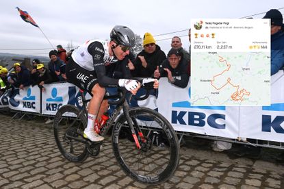 Tadej Pogačar's Tour Of Flanders Strava Data: No Flag This Year