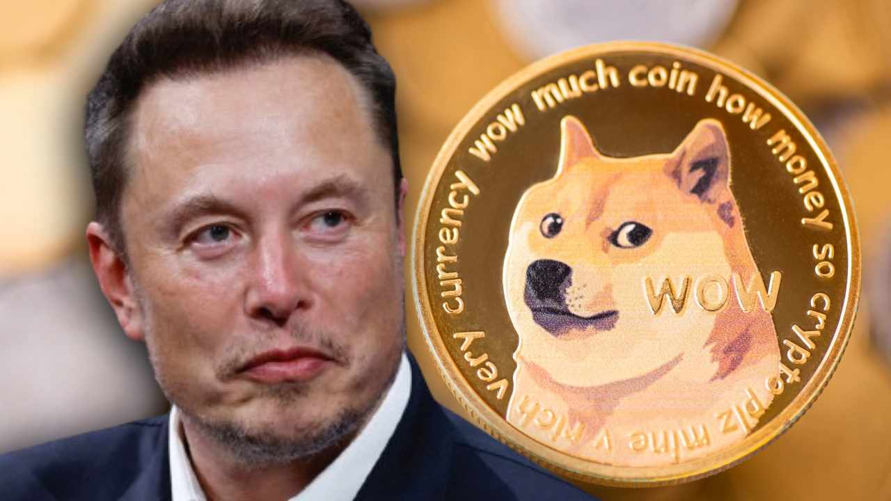 Tesla Stock Fall And Dogecoin's Reaction: Analyzing Elon Musk's Influence Tesla Stock Fall And Dogecoin's Reaction: Analyzing Elon Musk's Influence