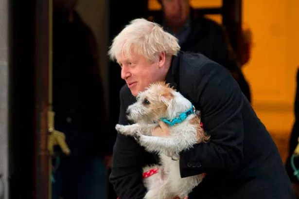 The Complete Guide To Boris Johnson's Animal-Related Fails The Complete Guide To Boris Johnson's Animal-Related Fails