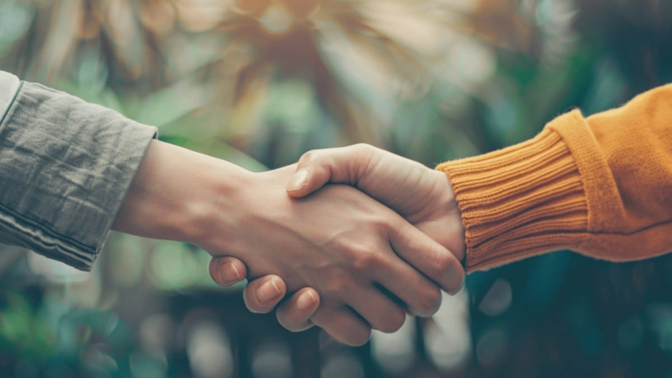 The Complex Relationship Between Apple And Google: A Case Of Mutual Benefit? The Complex Relationship Between Apple And Google: A Case Of Mutual Benefit?