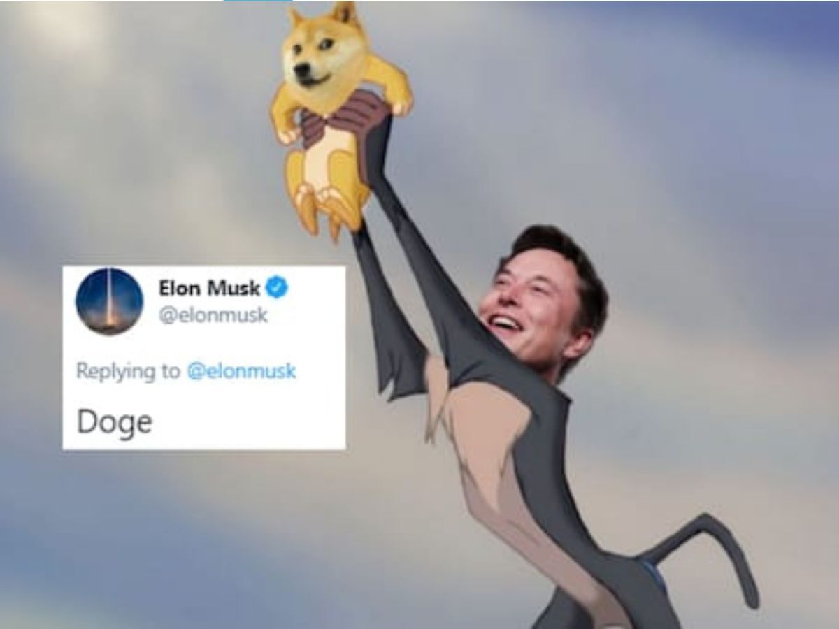 The Elon Musk-Dogecoin Relationship: An Update The Elon Musk-Dogecoin Relationship: An Update