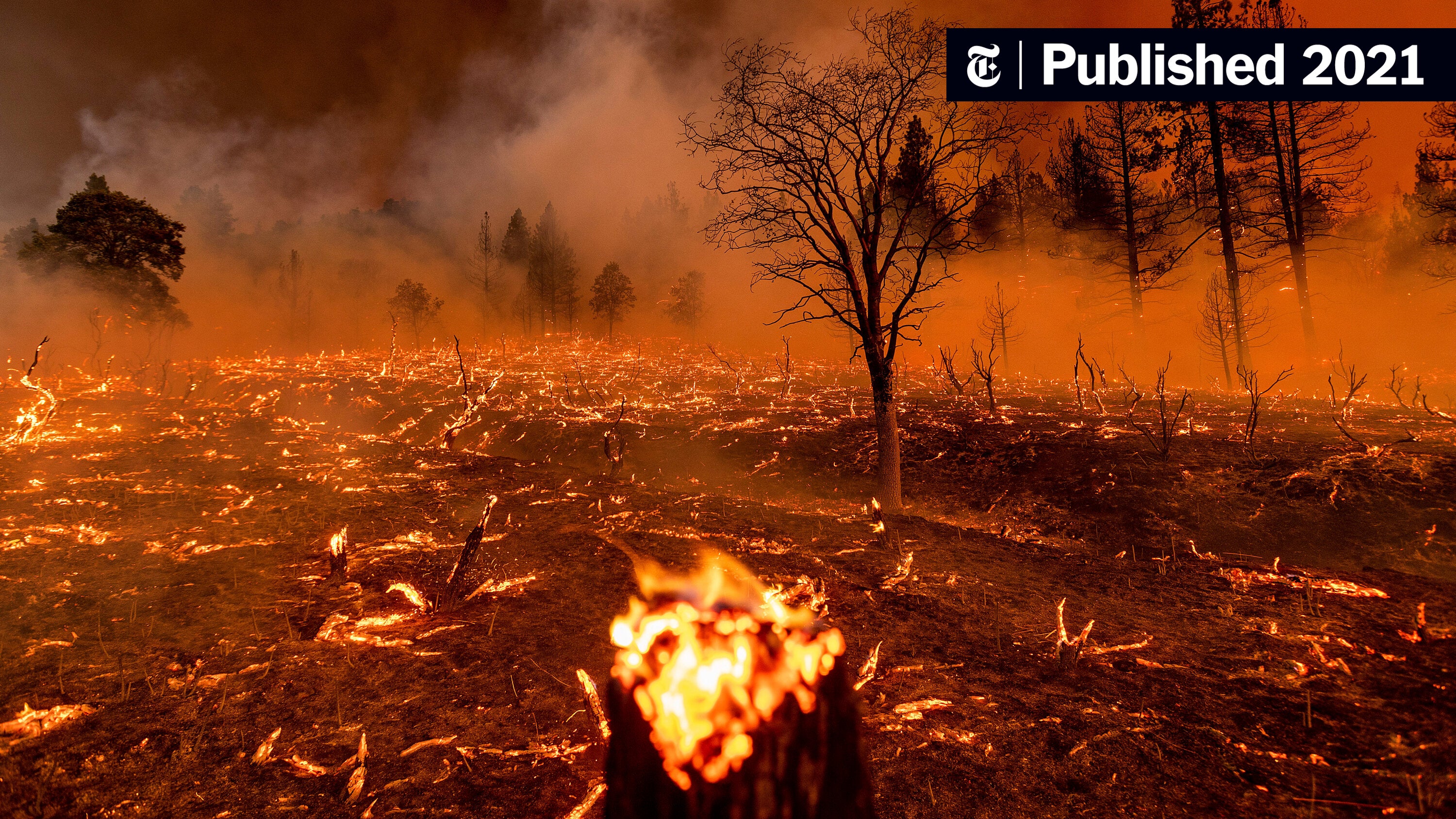 The Ethics Of Betting On Natural Disasters: The Los Angeles Wildfires Example The Ethics Of Betting On Natural Disasters: The Los Angeles Wildfires Example