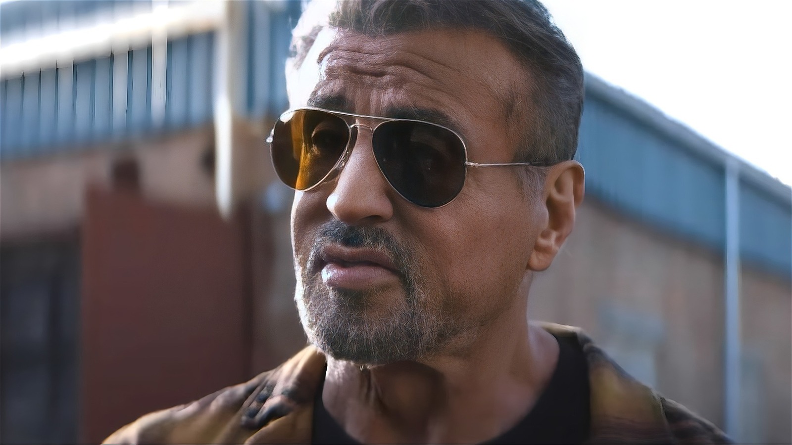 The Forgotten Directing Effort Of Sylvester Stallone: A Box Office Bomb The Forgotten Directing Effort Of Sylvester Stallone: A Box Office Bomb