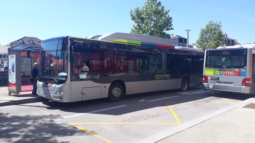 The Future Of European Transit: Hydrogen Buses Vs. Battery Buses The Future Of European Transit: Hydrogen Buses Vs. Battery Buses