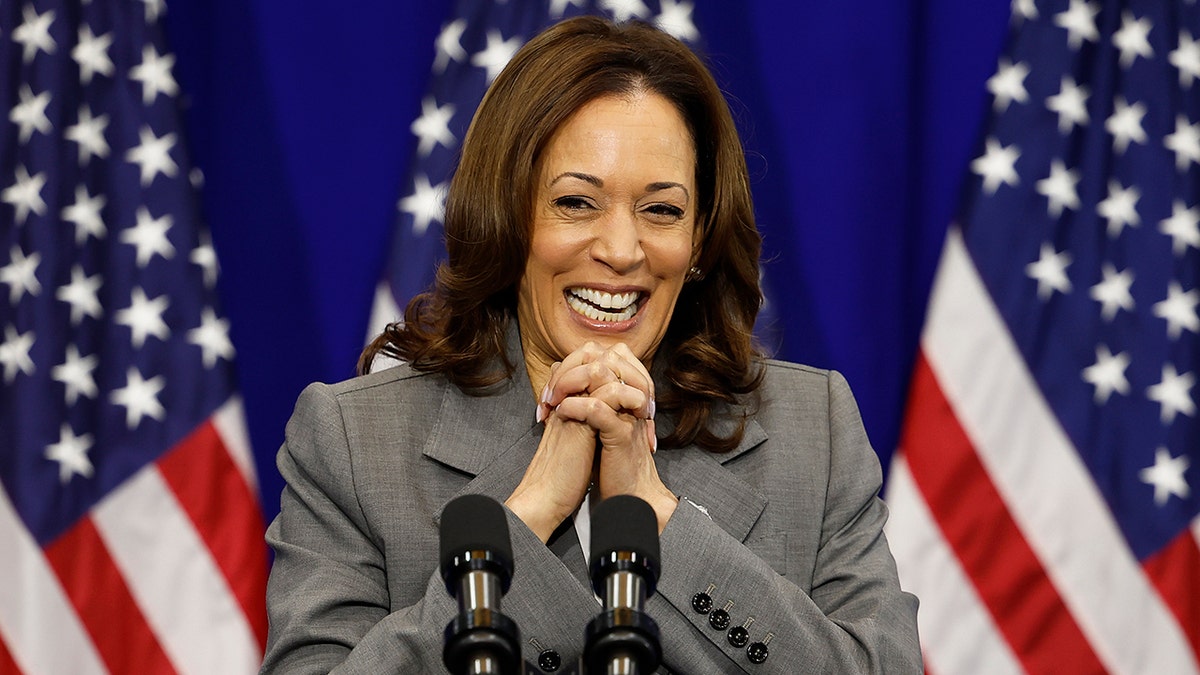 The Future Of Kamala Harris In Politics: Her Next Steps Revealed The Future Of Kamala Harris In Politics: Her Next Steps Revealed