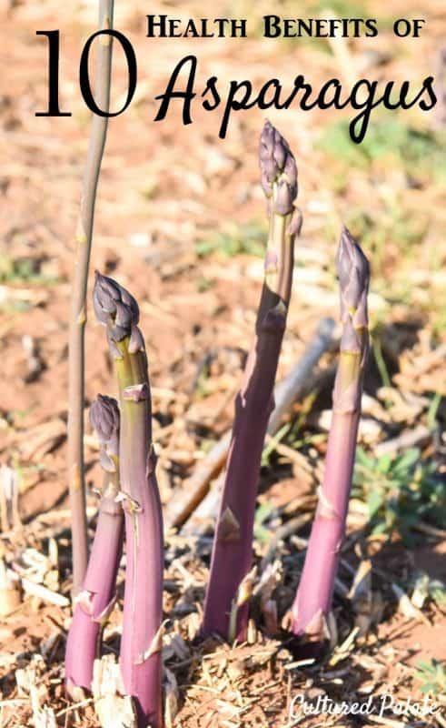 The Health Benefits Of Asparagus: A Comprehensive Guide