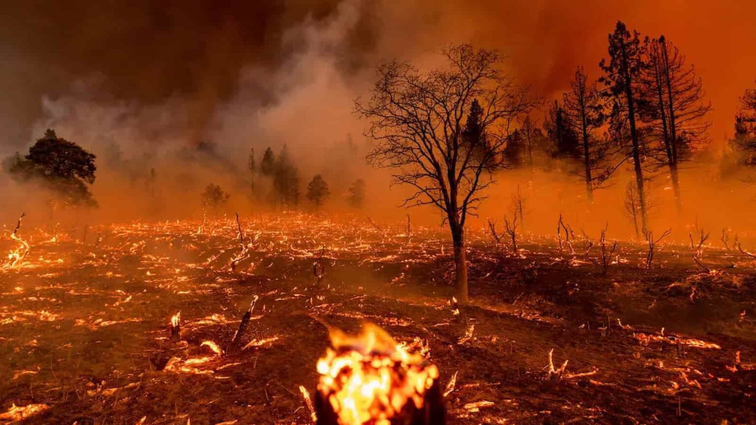 The Impact Of Wildfires On The Gambling Industry: The Los Angeles Example The Impact Of Wildfires On The Gambling Industry: The Los Angeles Example
