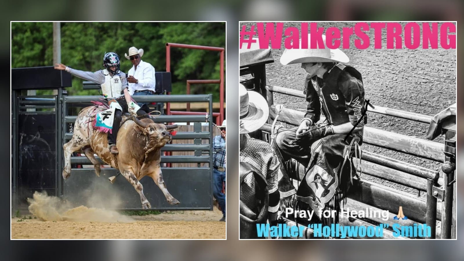 The Last Rodeo: A Critical Review Of The Bull-Riding Film The Last Rodeo: A Critical Review Of The Bull-Riding Film