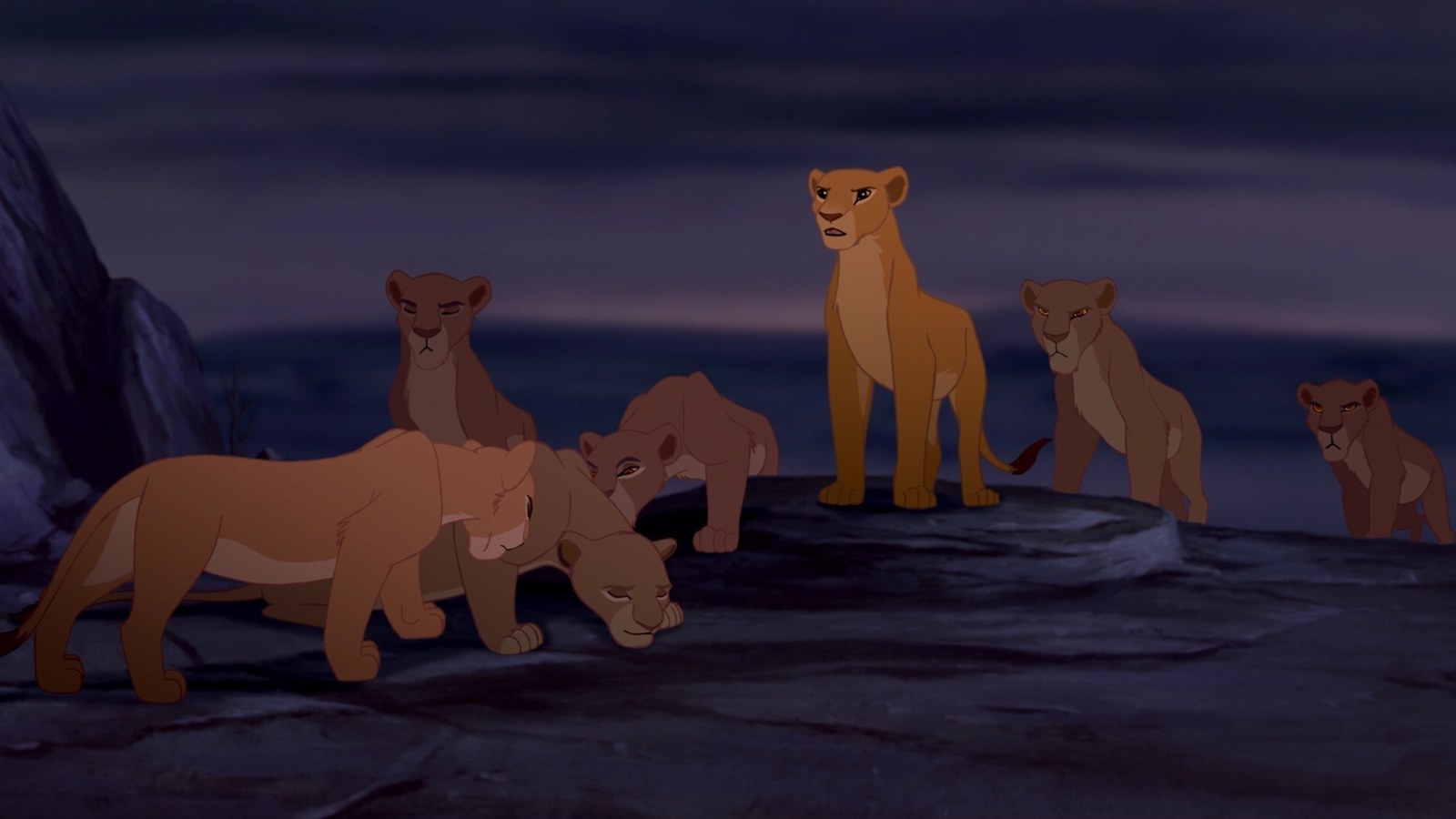 The Lion King's The Lion King's